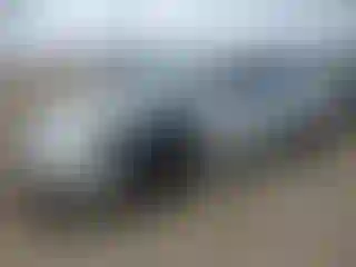 Vehicle Image- 2003 Toyota Corolla