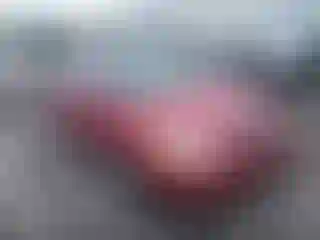 Vehicle Image- 2003 Toyota Corolla