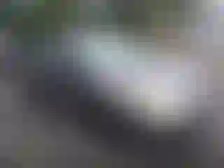 Vehicle Image- 2004 Toyota Corolla