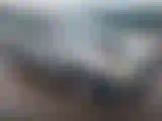 Vehicle Image- 2004 Toyota Corolla