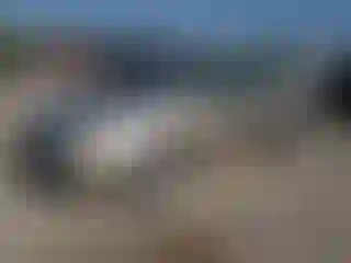 Vehicle Image- 2005 Toyota Corolla