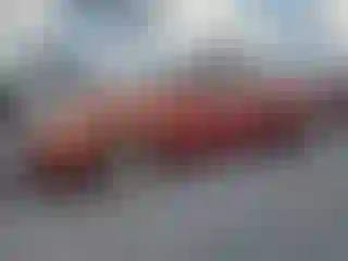 Vehicle Image- 2007 Toyota Corolla