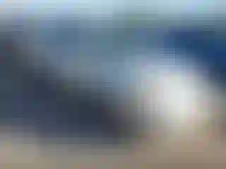 Vehicle Image- 2007 Toyota Corolla