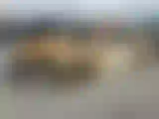 Vehicle Image- 2007 Toyota Corolla