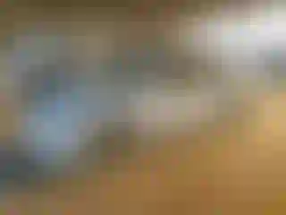 Vehicle Image- 2007 Toyota Corolla