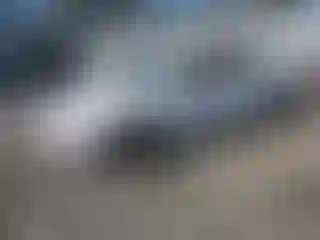 Vehicle Image- 2003 Toyota Corolla