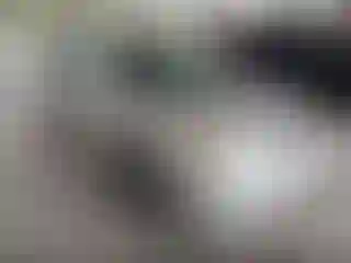 Vehicle Image- 2004 Toyota Corolla