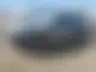 Vehicle Image- 2007 Toyota Corolla