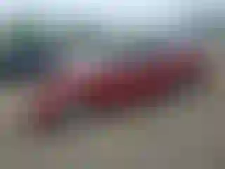Vehicle Image- 2007 Toyota Corolla