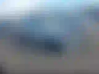 Vehicle Image- 2008 Toyota Corolla