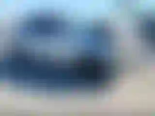 Vehicle Image- 2006 Toyota Corolla