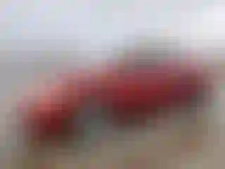 Vehicle Image- 2006 Toyota Corolla