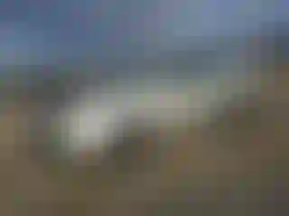Vehicle Image- 2003 Toyota Corolla