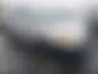 Vehicle Image- 2004 Toyota Corolla