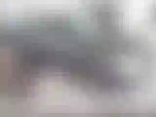 Vehicle Image- 2004 Toyota Corolla