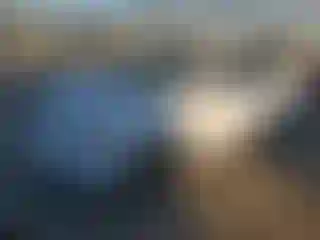 Vehicle Image- 2004 Toyota Corolla