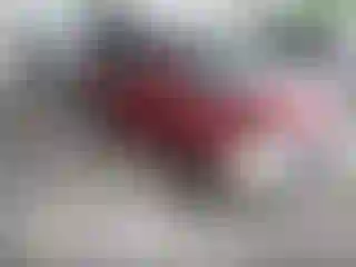 Vehicle Image- 2004 Toyota Corolla