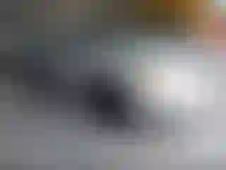 Vehicle Image- 2005 Toyota Corolla