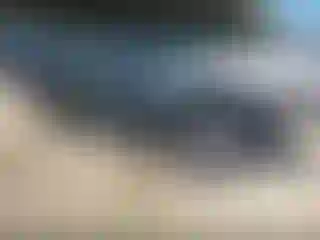 Vehicle Image- 2008 Toyota Corolla