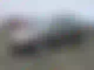 Vehicle Image- 2003 Toyota Corolla