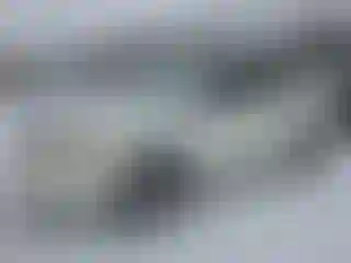 Vehicle Image- 2004 Toyota Corolla