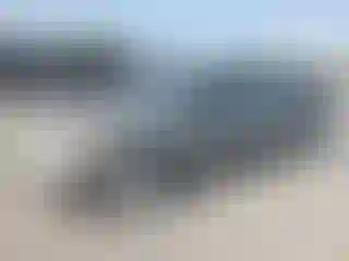 Vehicle Image- 2004 Toyota Corolla