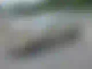 Vehicle Image- 2005 Toyota Corolla