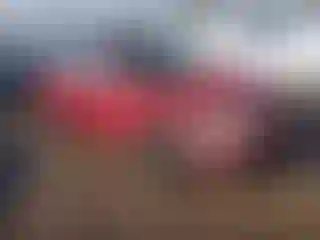 Vehicle Image- 2006 Toyota Corolla