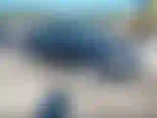 Vehicle Image- 2008 Toyota Corolla