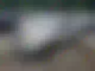 Vehicle Image- 2004 Toyota Corolla