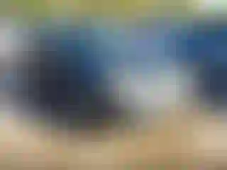 Vehicle Image- 2005 Toyota Corolla