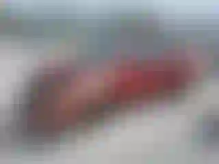 Vehicle Image- 2005 Toyota Corolla