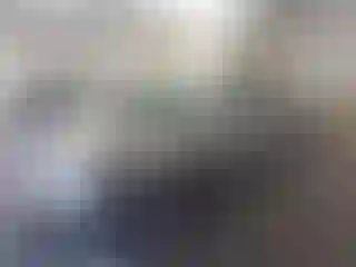 Vehicle Image- 2004 Toyota Corolla