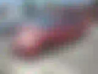 Vehicle Image- 2006 Toyota Corolla