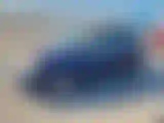 Vehicle Image- 2006 Toyota Corolla