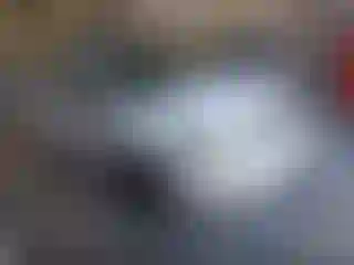 Vehicle Image- 2003 Toyota Corolla