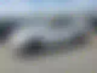 Vehicle Image- 2003 Toyota Corolla