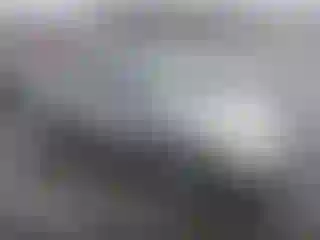 Vehicle Image- 2003 Toyota Corolla