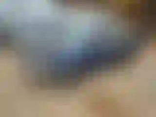 Vehicle Image- 2007 Toyota Corolla