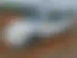 Vehicle Image- 2008 Toyota Corolla
