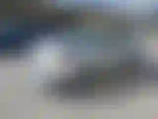 Vehicle Image- 2008 Toyota Corolla