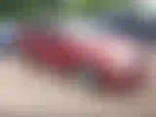 Vehicle Image- 2003 Toyota Corolla
