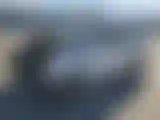 Vehicle Image- 2004 Toyota Corolla