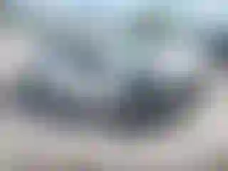 Vehicle Image- 2007 Toyota Corolla