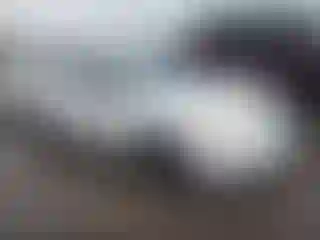 Vehicle Image- 2003 Toyota Corolla