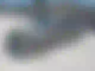 Vehicle Image- 2003 Toyota Corolla