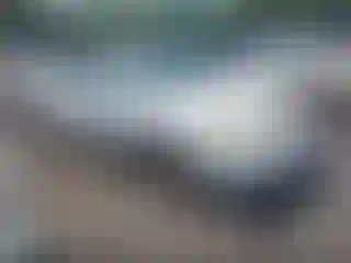 Vehicle Image- 2003 Toyota Corolla