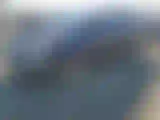 Vehicle Image- 2004 Toyota Corolla