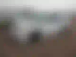 Vehicle Image- 2004 Toyota Corolla