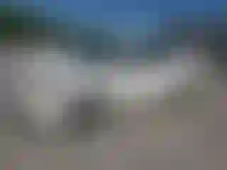 Vehicle Image- 2004 Toyota Corolla